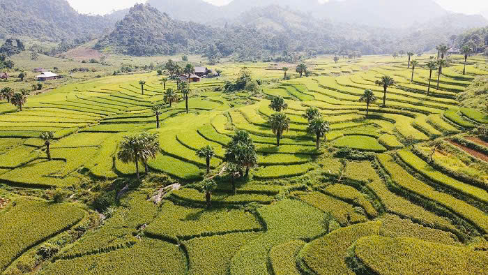 Ruộng bậc thang Đồng Hỷ